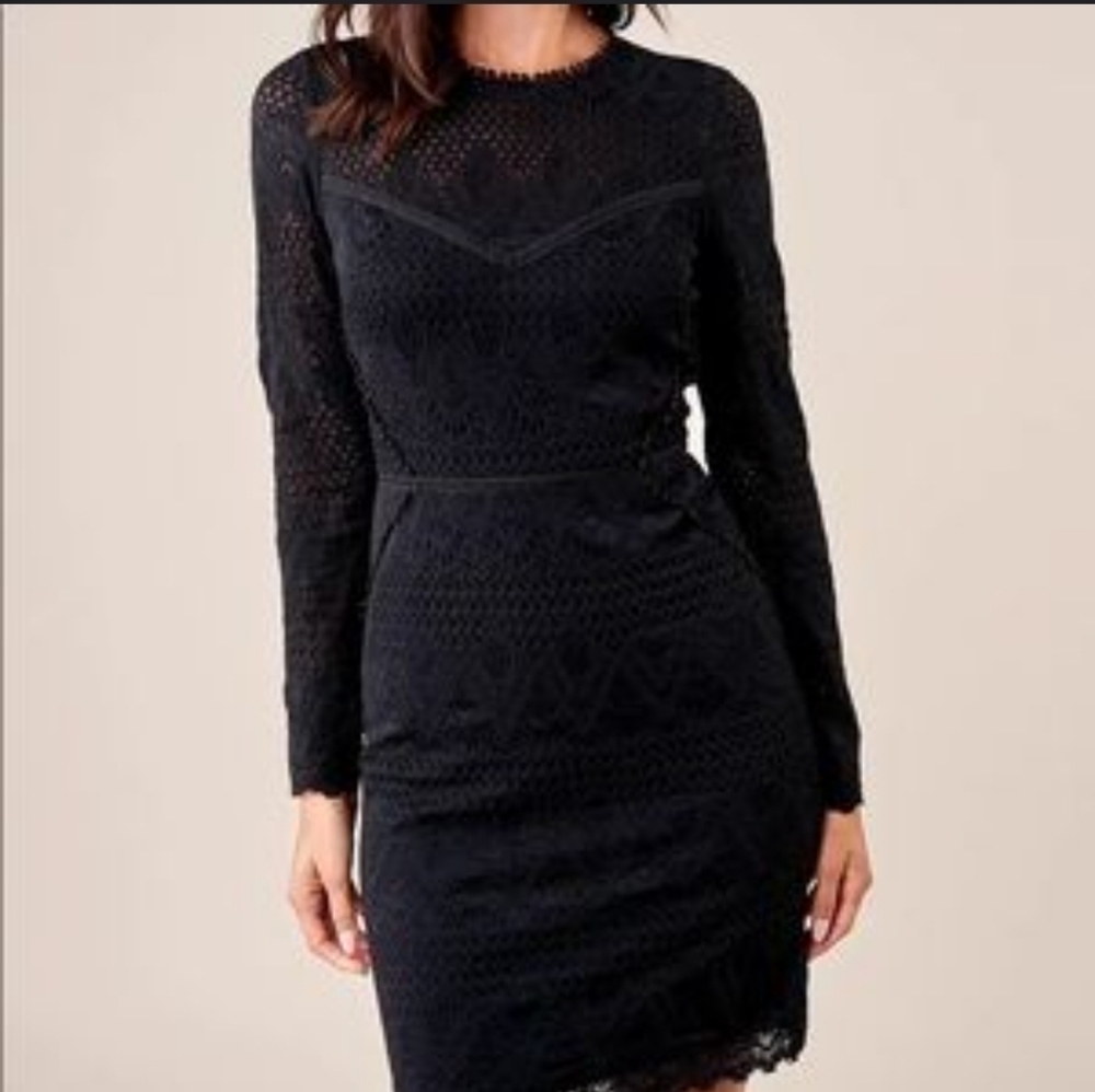 NWT SugarLips Long Sleeve Knit Lace Mini Dress size Medium Black Sheer Lined